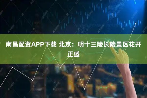 南昌配资APP下载 北京：明十三陵长陵景区花开正盛